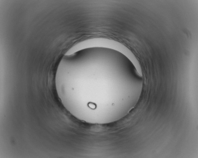 X0000113270231200910081407