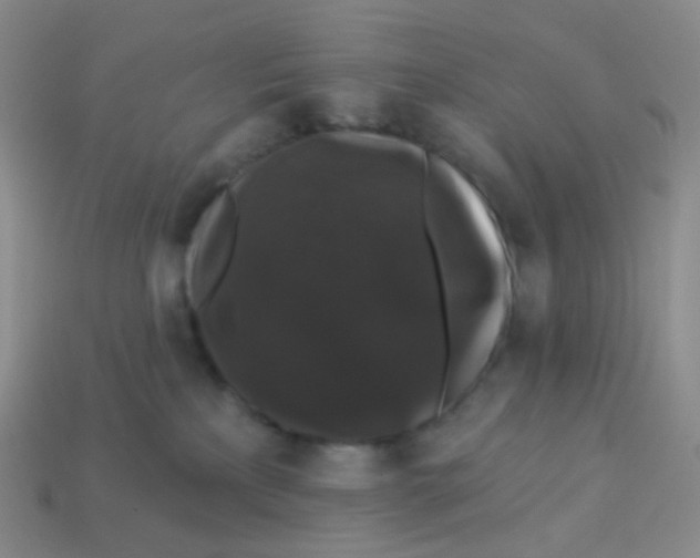 X0000113270233200910081407