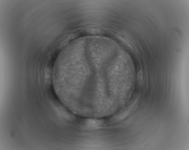 X0000113270234200910081407