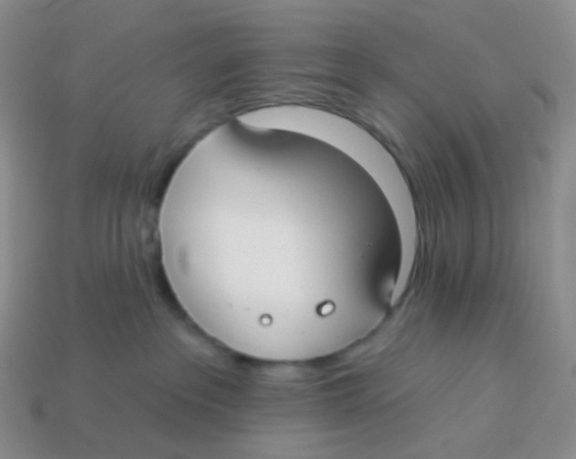 X0000113270237200910081407