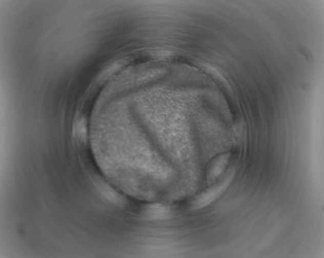 X0000113270238200910081407