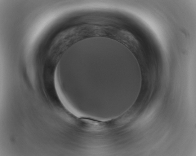 X0000113270239200910081407