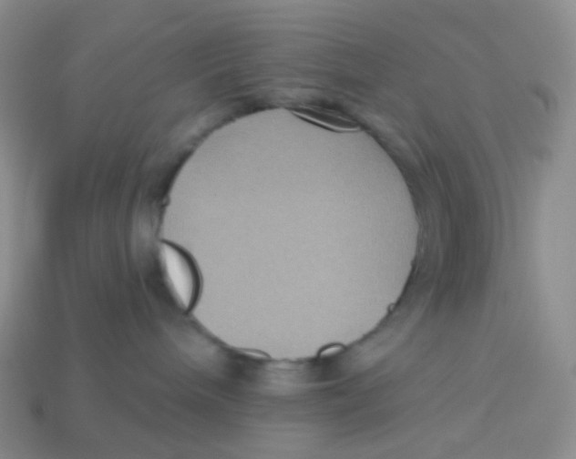 X0000113270240200910081407