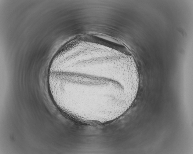 X0000113270241200910081406