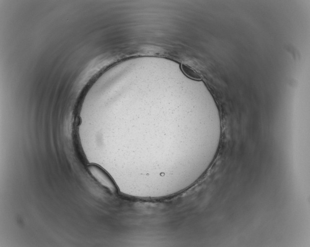 X0000113270242200910081406