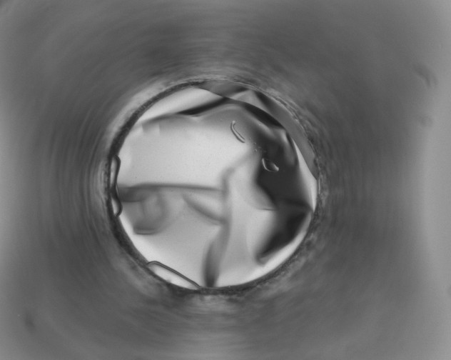 X0000113270244200910081406