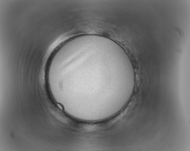 X0000113270246200910081406