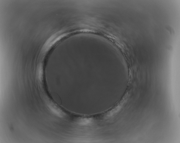 X0000113270247200910081406