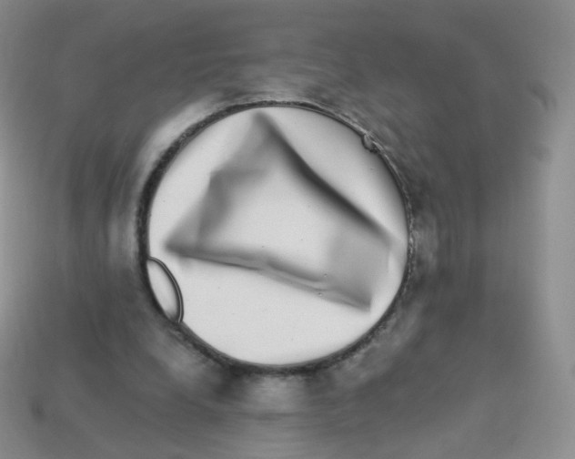 X0000113270248200910081406