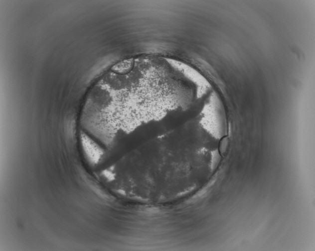 X0000113270249200910081406