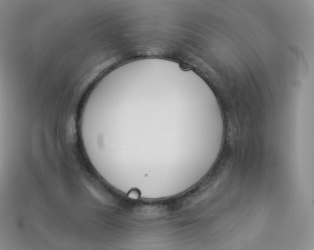 X0000113270251200910081406