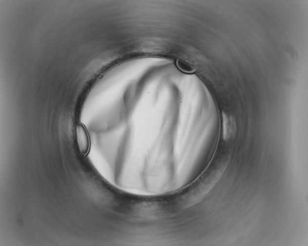 X0000113270252200910081406