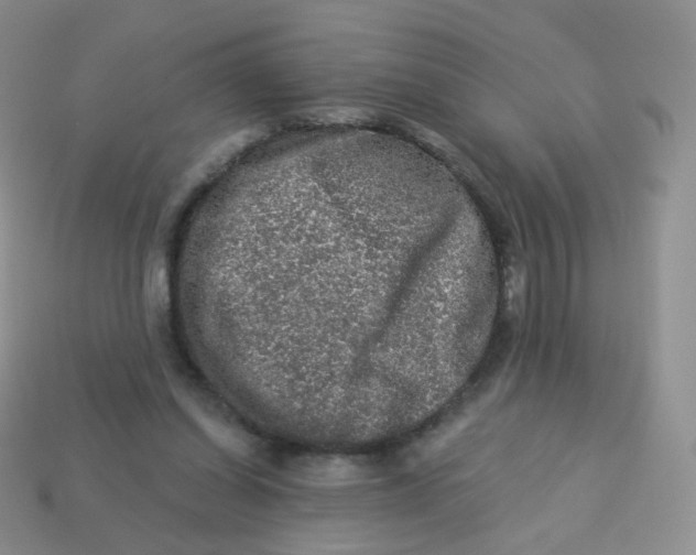 X0000113270254200910081406