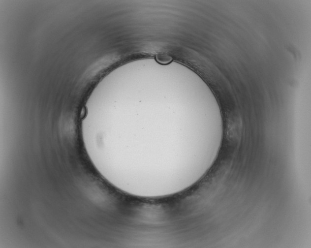 X0000113270256200910081406