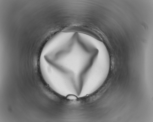 X0000113270257200910081406