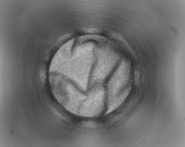 X0000113270259200910081407