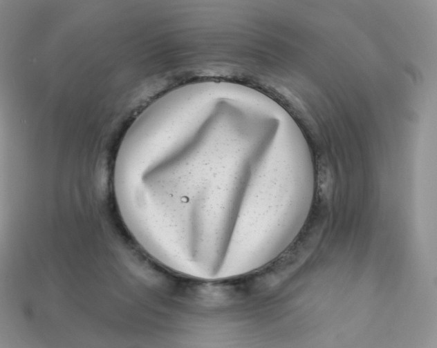 X0000113270261200910081407