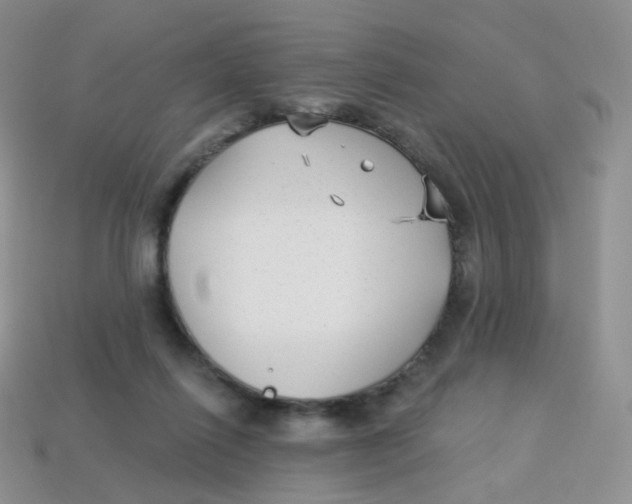 X0000113270262200910081407