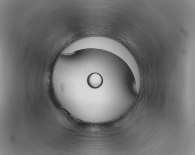 X0000113270264200910081407