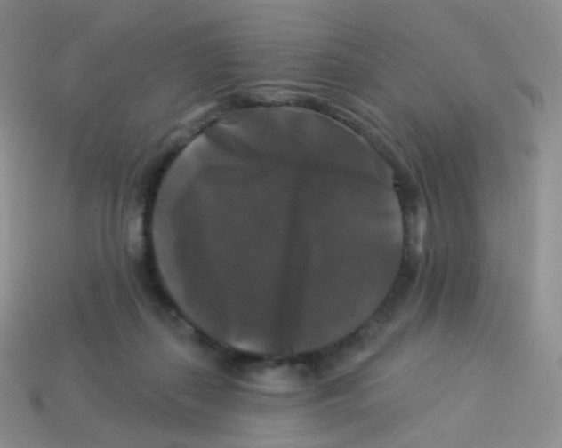 X0000113270267200910081407