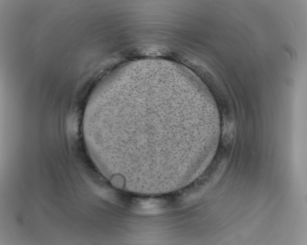 X0000113270268200910081407