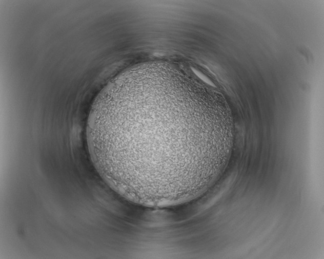 X0000113270269200910081407