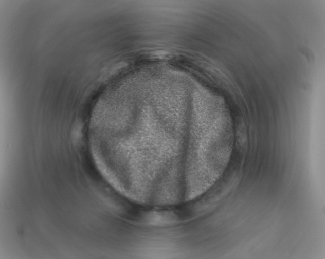 X0000113270270200910081407