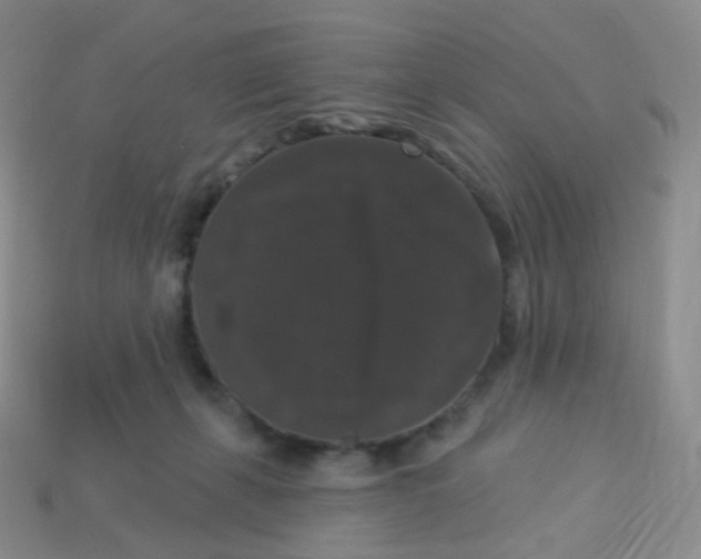 X0000113270271200910081407