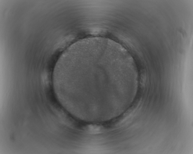 X0000113270272200910081407