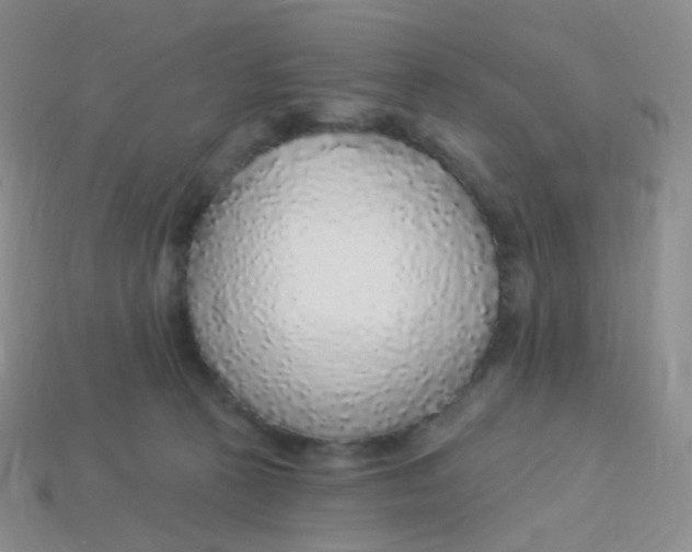 X0000113270273200910081407