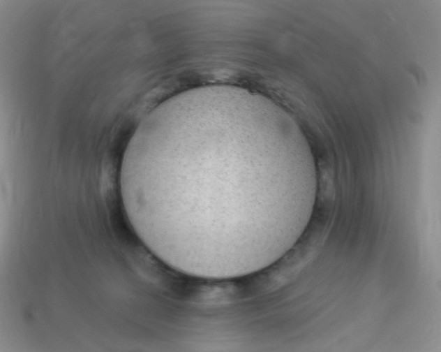 X0000113270274200910081407