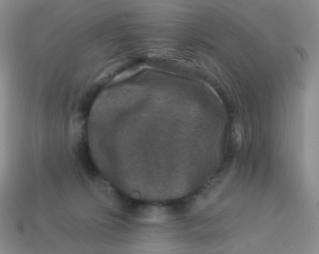 X0000113270276200910081407