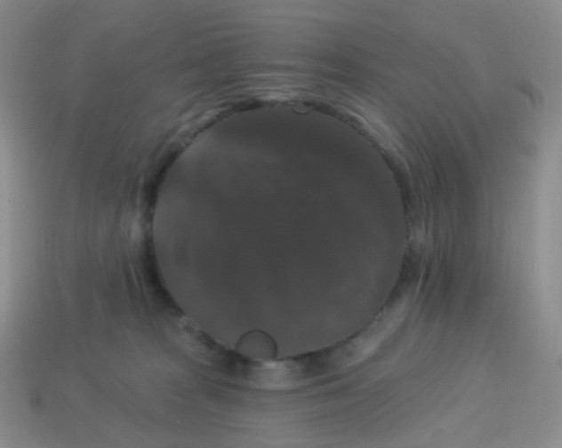 X0000113270277200910081407