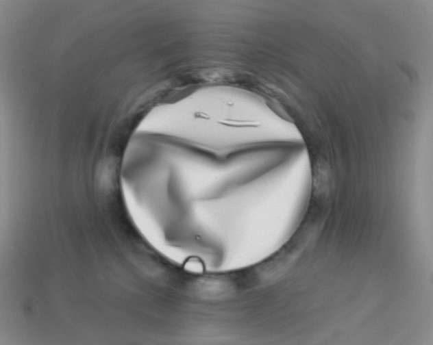 X0000113270280200910081407