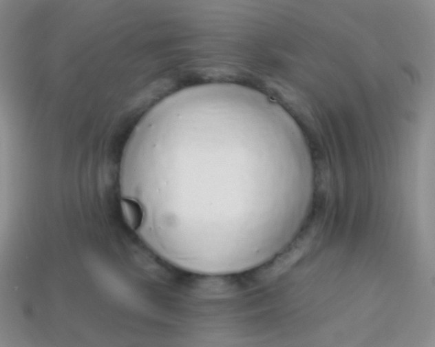 X0000113270281200910081407