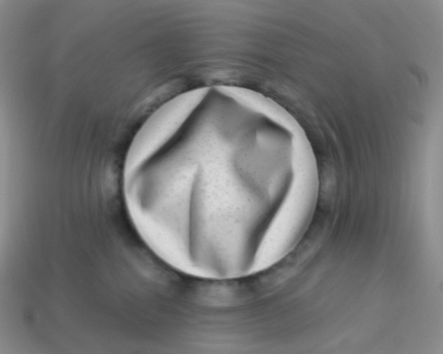 X0000113270282200910081407