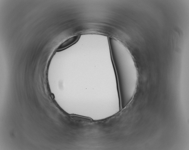 X0000113270289200910081406