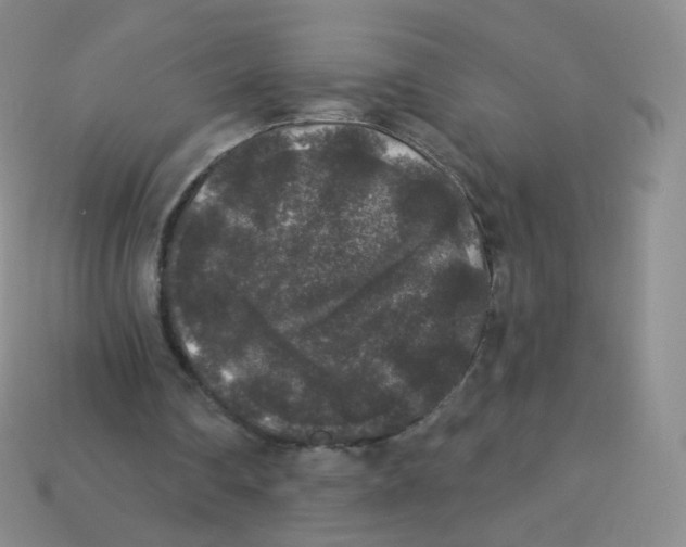 X0000113270290200910081406