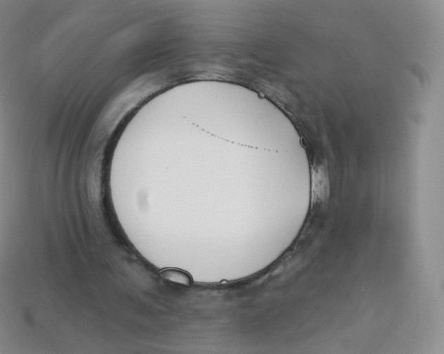 X0000113270291200910081406