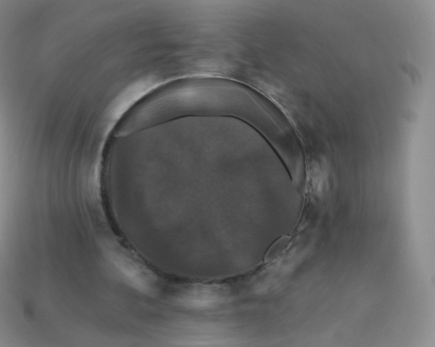 X0000113270292200910081406