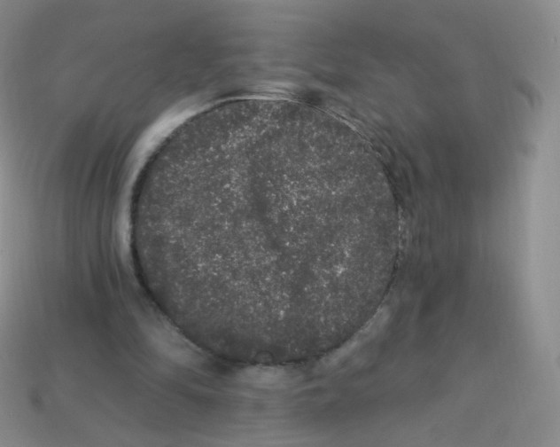 X0000113270294200910081406