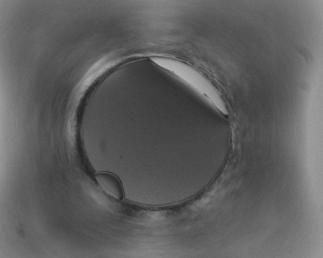 X0000113270295200910081406