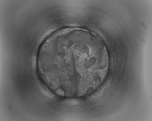 X0000113270299200910081406