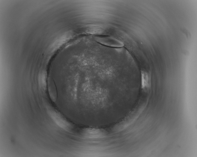 X0000113270300200910081406