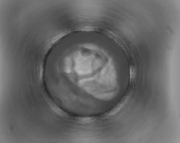 X0000113270301200910081406