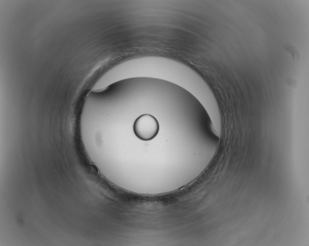 X0000113270304200910081406