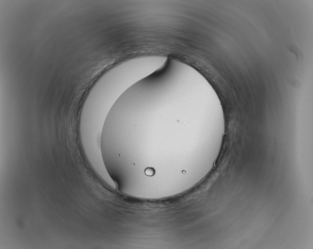 X0000113270305200910081406