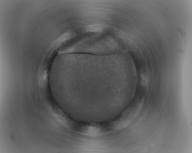 X0000113270308200910081406