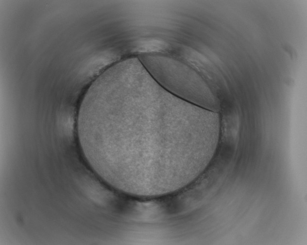 X0000113270309200910081406