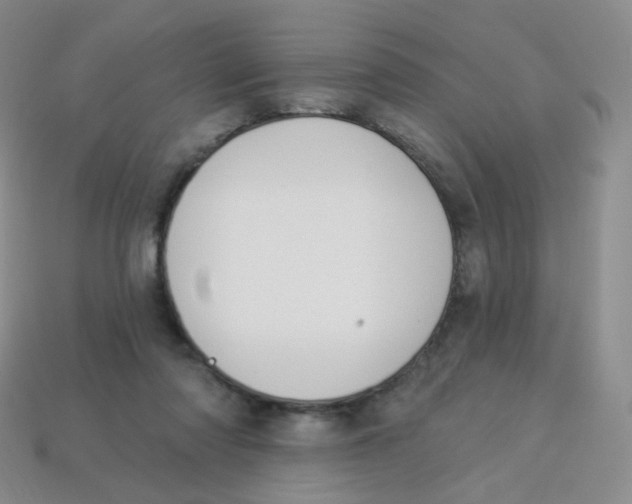 X0000113270310200910081406